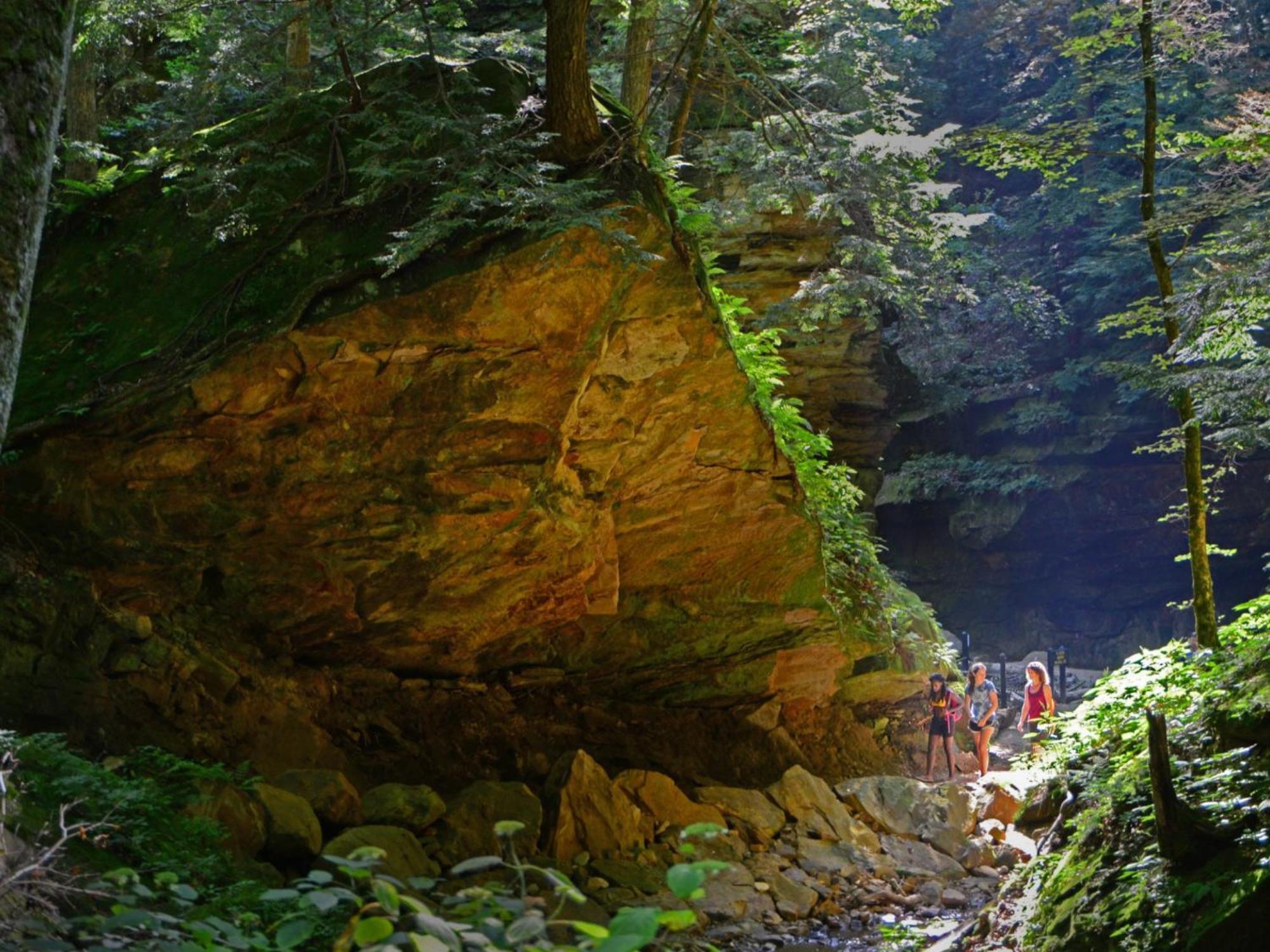 Turkey Run Inn & Cabins Marshall Εξωτερικό φωτογραφία